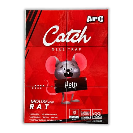 كتاب لاصق برائحة الفول السوداني