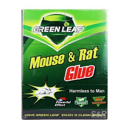 كتاب لاصق أخضر صغير