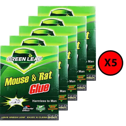 كتاب لاصق أخضر صغير